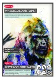 Caiet pentru desen pe baza de apa Derwent Profesional hartie alba A5 12 coli 300 gsm calitate premium