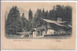 Carte postala circulata in anul 1900 Sinaia