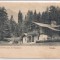 Carte postala circulata in anul 1900 Sinaia