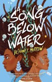 Song Below Water | Bethany C. Morrow, St Martin&#039;s Press