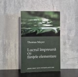 Thomas Mayer - Lucrul impreuna cu fiintele elementare | Antroposofie, fiinte ale naturii