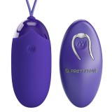 Remote Control-Berger Youth Ou Vibrator cu Telecomandă
