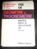 Fise De Geometrie Si Trigonometrie Pentru Elevi Si Absolventi - N. Ghircoiasiu, M. Iasinschi, A. Viciu ,545478