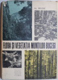 Flora si vegetatia Muntilor Bucegi &ndash; Al. Beldie