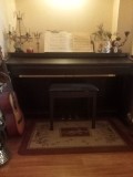 Vind pian. Alegro delson 8860, Muzicala