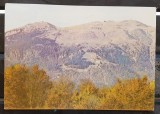 CPIB 17699 CARTE POSTALA - SINAIA. COTA 1400 VAZUTA DIN VF. PISCUL CAINELUI