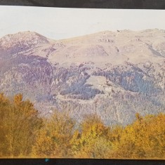 CPIB 17699 CARTE POSTALA - SINAIA. COTA 1400 VAZUTA DIN VF. PISCUL CAINELUI