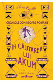 Cumpara ieftin Cronicile Domnisoarei Poimaine 2. In Cautarea Lui Akum, Adina Rosetti - Editura Art