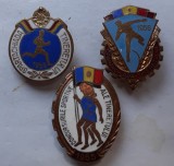 ROMANIA - 3 INSIGNE 2x SPARTACHIADA TINERETULUI 1956+CONCURSURILE SPORTIVE ALE TINERET. 1955, IM 1.268