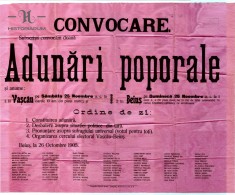 HST 100S Afis 1905 Doua adunari poporale Bihor Partidul National Roman foto