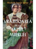 Cumpara ieftin Vrajitoarea De La Iazul Mierlei, Elizabeth George Speare - Editura Art