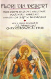 Flori din desert | Chrysostomos al Etnei