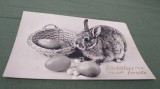 CARTE POSTALA FELICITARE NECIRCULATA