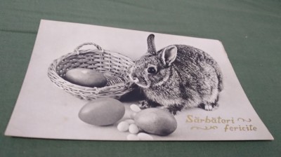 CARTE POSTALA FELICITARE NECIRCULATA foto