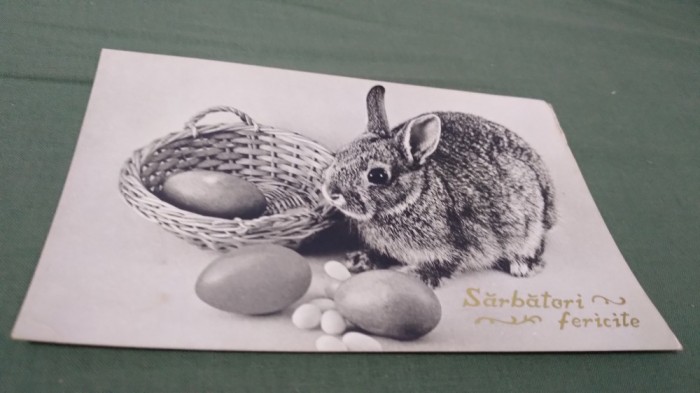 CARTE POSTALA FELICITARE NECIRCULATA