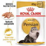 Cumpara ieftin Royal Canin Persian Adult hrana umeda pisica (pate), 12x85 g
