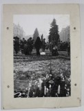 TIMISOARA , ZI DE COMEMORARE , FOTOGRAFIE , 1989 - 1990 ( ? )