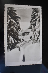 Banat - Muntele Mic (1806 m) - circulata 1940 foto