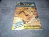 REVISTA CALYPSO NR 31