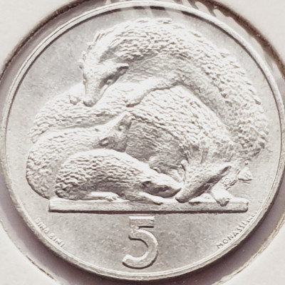 2719 San Marino 5 Lire 1975 Animals Series - European Hedgehog km 42 foto