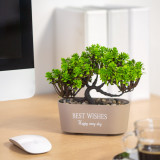 Decor plante artificiale &ndash; bonsai &ndash; 19 x 13 cm &ndash; 4 tipuri