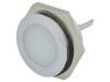 Lumină de Control LED Albă 24-28V IP67 &Oslash;22mm Metalică
