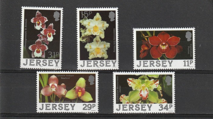 Flora ,orhidee,Jersey.