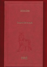 Hermann Hesse &quot;Lupul de stepa&quot; - 101 cărti de citit - Nr. 17