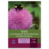 Teste de antrenament pentru pregatirea evaluarii nationale - Clasa a VI-a. Matematica si stiinte