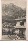 bnk cp Poiana Tapului - Vedere - uzata 1959 - Libraria noastra