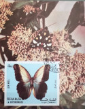 BC168, Sharjah 1972, colita neperforata fauna, fluturi