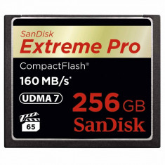 Card Sandisk Extreme Pro CF 256GB foto