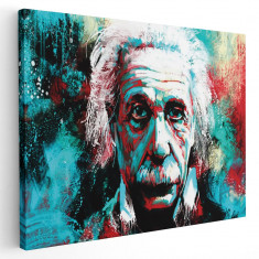 Tablou Albert Einstein fizician Tablou canvas pe panza CU RAMA 20x30 cm