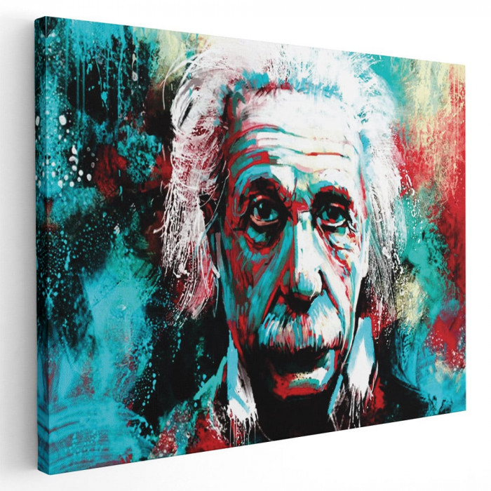 Tablou Albert Einstein fizician Tablou canvas pe panza CU RAMA 80x120 cm