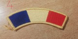 C7 146 - Ecuson tematica nationala - steag Romania - piesa de colectie