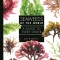 Seaweeds of the World: A Guide to Every Order