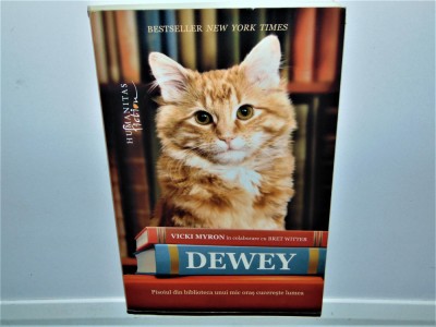 DEWEY -VICKI MIRON - PISOIUL DIN BIBLIOTECA UNUI MIC ORAS CUCERESTE LUMEA foto