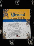 Dragos Iulian Matei - Miracol in lumea emotiilor