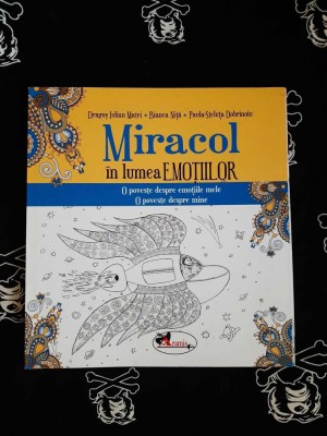 Dragos Iulian Matei - Miracol in lumea emotiilor foto