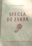 SFECLA DE ZAHAR GHEORGHE OLTEANU