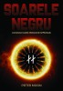 Soarele Negru: conexiunea nazist-tibetana de la Montauk - Peter Moon, Daksha
