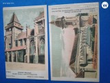 Franta , GRUP DOUA CARTI POSTALE NECIRCULATE , ANII 1920,Castele din Franta , verso reclama la produse medicale POTUBERAGE .