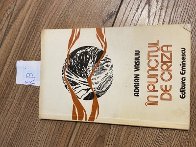 Adrian Vasiliu - In punctul de criza Po+ foto