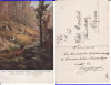 Ilustrata animale -cerbi-vanatoare, Circulata, Printata