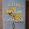 Cum eram candva- Amber Smith