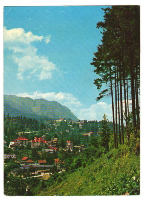 CPIB 18385 CARTE POSTALA - SINAIA