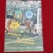 Program Steaua - Glasgow Rangers