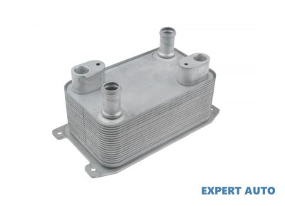 Radiator ulei Audi A8 Long (2002-2005) [4E , D3] #1 foto