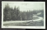 Carte postala, Tusnad drum de tara, 1928