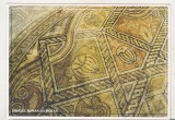 bnk cp Constanta - Edificiul roman cu mozaic - necirculata